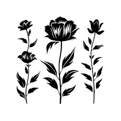 Silhouette rose, rose vector, flower svg, vector flower, herb, branch, line art, outline, eps, png, svg, flower, floral, vector, nature, leaf, rose, illustration, plant, design, vintage, pattern, flow