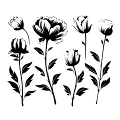 Silhouette rose, rose vector, flower svg, vector flower, herb, branch, line art, outline, eps, png, svg, flower, floral, vector, nature, leaf, rose, illustration, plant, design, vintage, pattern, flow