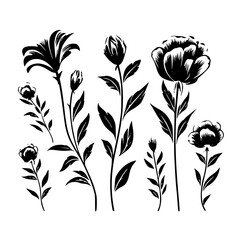 Silhouette rose, rose vector, flower svg, vector flower, herb, branch, line art, outline, eps, png, svg, flower, floral, vector, nature, leaf, rose, illustration, plant, design, vintage, pattern, flow