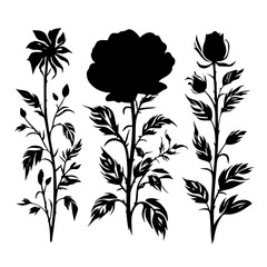 Silhouette rose, rose vector, flower svg, vector flower, herb, branch, line art, outline, eps, png, svg, flower, floral, vector, nature, leaf, rose, illustration, plant, design, vintage, pattern, flow