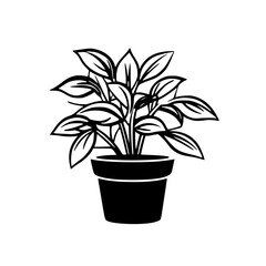 Rose Silhouette, Lily Silhouette, Sunflower Silhouette, Tulip Silhouette, Orchid Silhouette, Daisy Silhouette, Peony Silhouette, Daffodil Silhouette, Marigold Silhouette, Hydrangea Silhouette, Snapdra
