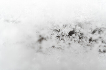 Snow texture with snowflakes and ice crystals