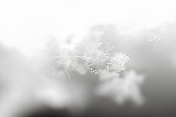 Snow texture with snowflakes and ice crystals