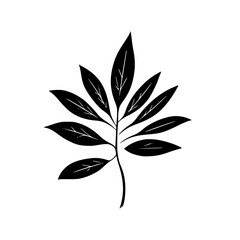 Silhouette rose, rose vector, flower svg, vector flower, herb, branch, line art, outline, eps, png, svg, flower, floral, vector, nature, leaf, rose, illustration, plant, design, vintage, pattern, flow