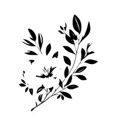 Silhouette rose, rose vector, flower svg, vector flower, herb, branch, line art, outline, eps, png, svg, flower, floral, vector, nature, leaf, rose, illustration, plant, design, vintage, pattern, flow