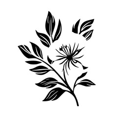 Silhouette rose, rose vector, flower svg, vector flower, herb, branch, line art, outline, eps, png, svg, flower, floral, vector, nature, leaf, rose, illustration, plant, design, vintage, pattern, 