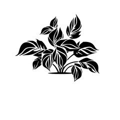 Silhouette rose, rose vector, flower svg, vector flower, herb, branch, line art, outline, eps, png, svg, flower, floral, vector, nature, leaf, rose, illustration, plant, design, vintage, pattern, 