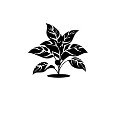 Silhouette rose, rose vector, flower svg, vector flower, herb, branch, line art, outline, eps, png, svg, flower, floral, vector, nature, leaf, rose, illustration, plant, design, vintage, pattern, 