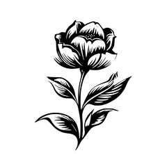 Silhouette rose, rose vector, flower svg, vector flower, herb, branch, line art, outline, eps, png, svg, flower, floral, vector, nature, leaf, rose, illustration, plant, design, vintage, pattern, 