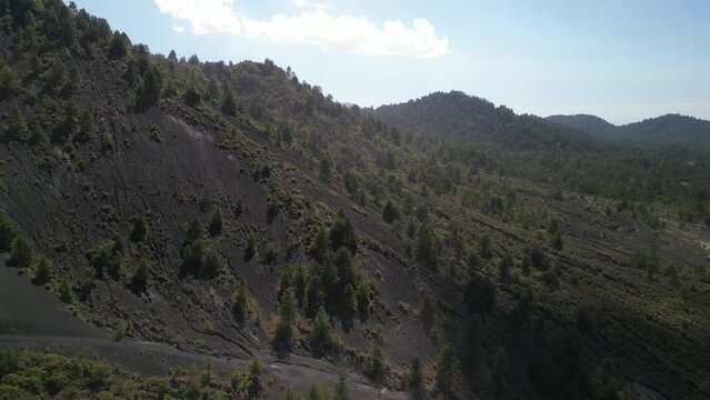Drone footage of the green plants growing on the volcanic lands around Paricutin volcano, Mexico