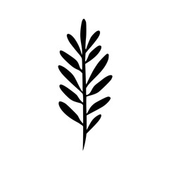 Silhouette rose, rose vector, flower svg, vector flower, herb, branch, line art, outline, eps, png, svg, flower, floral, vector, nature, leaf, rose, illustration, plant, design, vintage, pattern, 
