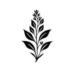 Silhouette rose, rose vector, flower svg, vector flower, herb, branch, line art, outline, eps, png, svg, flower, floral, vector, nature, leaf, rose, illustration, plant, design, vintage, pattern, 