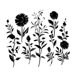 Silhouette rose, rose vector, flower svg, vector flower, herb, branch, line art, outline, eps, png, svg, flower, floral, vector, nature, leaf, rose, illustration, plant, design, vintage, pattern, 