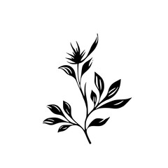 Silhouette rose, rose vector, flower svg, vector flower, herb, branch, line art, outline, eps, png, svg, flower, floral, vector, nature, leaf, rose, illustration, plant, design, vintage, pattern, flow