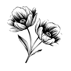Obraz premium Silhouette rose, rose vector, flower svg, vector flower, herb, branch, line art, outline, eps, png, svg, flower, floral, vector, nature, leaf, rose, illustration, plant, design, vintage, pattern, 