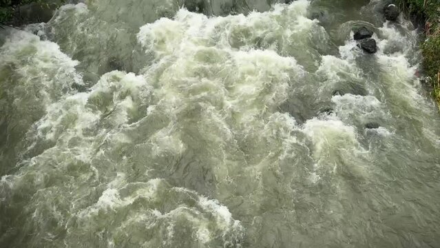 Natural river stream in Bogor tropical forest in Asia, beautiful scenery of water flowing