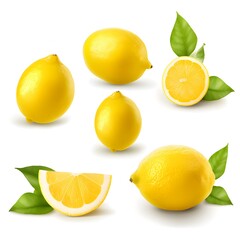 Lemon in different views on white background