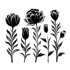 Silhouette rose, rose vector, flower svg, vector flower, herb, branch, line art, outline, eps, png, svg, flower, floral, vector, nature, leaf, rose, illustration, plant, design, vintage, pattern, 