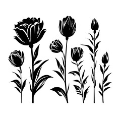 Silhouette rose, rose vector, flower svg, vector flower, herb, branch, line art, outline, eps, png, svg, flower, floral, vector, nature, leaf, rose, illustration, plant, design, vintage, pattern, 