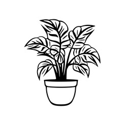 Rose Silhouette, Lily Silhouette, Sunflower Silhouette, Tulip Silhouette, Orchid Silhouette, Daisy Silhouette, Peony Silhouette, Daffodil Silhouette, Marigold Silhouette, Hydrangea Silhouette, Snapdra