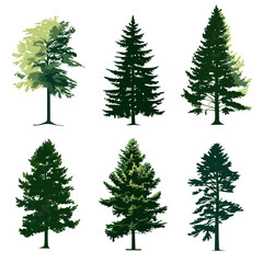set of trees, flat vector elevation - obrazy, fototapety, plakaty