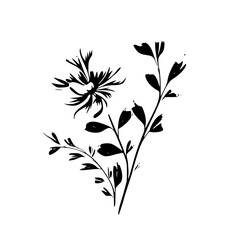 Silhouette rose, rose vector, flower svg, vector flower, herb, branch, line art, outline, eps, png, svg, flower, floral, vector, leaf, plant, nature, tree, leaves, illustration, spring, flora, design,