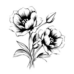 Silhouette rose, rose vector, flower svg, vector flower, herb, branch, line art, outline, eps, png, svg, flower, floral, vector, leaf, plant, nature, tree, leaves, illustration, spring, flora, design,