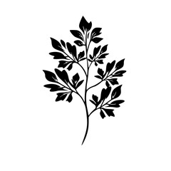  leaf vector, herb silhouette, silhouette plant, silhouette flower, silhouette floral, plantpot, leaf, tree, plant, nature, vector, bamboo, pattern, branch, silhouette, floral, flower, design, 