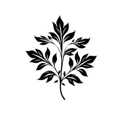 Silhouette rose, rose vector, flower svg, vector flower, herb, branch, line art, outline, eps, png, svg, flower, floral, vector, leaf, plant, nature, tree, leaves, illustration, spring, flora, design,