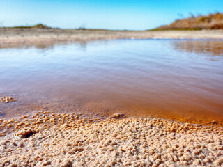 Mineralogy. Shore of hypersalted lake with deposition of salt crystals (iodine-bromine,...