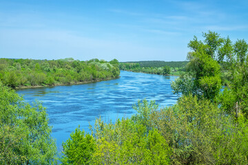 Potamology. The Don River in the middle reaches. Strong river flow and floodplain forest consisting mainly of white willow, mock valley