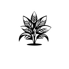  leaf vector, herb silhouette, silhouette plant, silhouette flower, silhouette floral, plantpot, leaf, tree, plant, nature, vector, bamboo, pattern, branch, silhouette, floral, flower, design, 