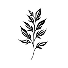  leaf vector, herb silhouette, silhouette plant, silhouette flower, silhouette floral, plantpot, leaf, tree, plant, nature, vector, bamboo, pattern, branch, silhouette, floral, flower, design, illustr