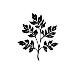  leaf vector, herb silhouette, silhouette plant, silhouette flower, silhouette floral, plantpot, leaf, tree, plant, nature, vector, bamboo, pattern, branch, silhouette, floral, flower, design, illustr