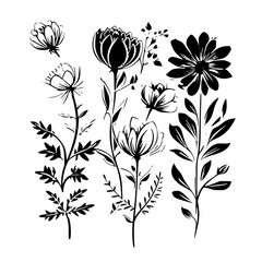 flower svg, vector flower, herb, branch, line art, outline, eps, png, svg, flower, floral, vector, nature, leaf, rose, illustration, plant, design, vintage, pattern, flowers, art, drawing, tulip, 