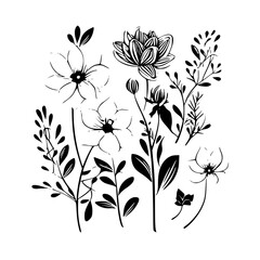 flower svg, vector flower, herb, branch, line art, outline, eps, png, svg, flower, floral, vector, nature, leaf, rose, illustration, plant, design, vintage, pattern, flowers, art, drawing, tulip, 