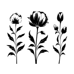  leaf vector, herb silhouette, silhouette plant, silhouette flower, silhouette floral, plantpot, leaf, tree, plant, nature, vector, bamboo, pattern, branch, silhouette, floral, flower, design, illustr