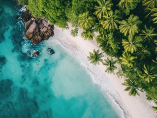 Fototapeta na wymiar Overhead shot of a tropical island with palm trees and white sandy beaches