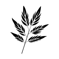  leaf vector, herb silhouette, silhouette plant, silhouette flower, silhouette floral, plantpot, leaf, tree, plant, nature, vector, bamboo, pattern, branch, silhouette, floral, flower, design,
