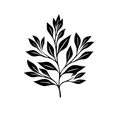  leaf vector, herb silhouette, silhouette plant, silhouette flower, silhouette floral, plantpot, leaf, tree, plant, nature, vector, bamboo, pattern, branch, silhouette, floral, flower, design,