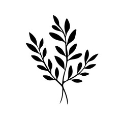  leaf vector, herb silhouette, silhouette plant, silhouette flower, silhouette floral, plantpot, leaf, tree, plant, nature, vector, bamboo, pattern, branch, silhouette, floral, flower, design,