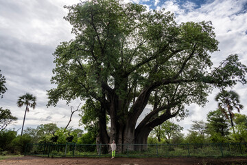 Fototapeta premium beautiful rural landscape on a summer day against the sky in Kenya