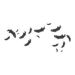 Salmon, fish and fishing, logo template. Underwater world, river and marine life, nature, vector design,