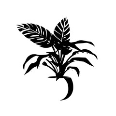  leaf vector, herb silhouette, silhouette plant, silhouette flower, silhouette floral, plantpot, leaf, tree, plant, nature, vector, bamboo, pattern, branch, silhouette, floral, flower, design,