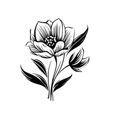  leaf vector, herb silhouette, silhouette plant, silhouette flower, silhouette floral, plantpot, leaf, tree, plant, nature, vector, bamboo, pattern, branch, silhouette, floral, flower, design,