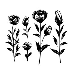  leaf vector, herb silhouette, silhouette plant, silhouette flower, silhouette floral, plantpot, leaf, tree, plant, nature, vector, bamboo, pattern, branch, silhouette, floral, flower, design, illustr