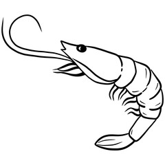 Shrimp line drawing 