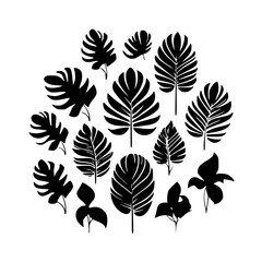 Fototapeta premium leaf vector, herb silhouette, silhouette plant, silhouette flower, silhouette floral, plantpot, leaf, tree, plant, nature, vector, bamboo, pattern, branch, silhouette, floral, flower, design,