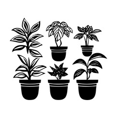  leaf vector, herb silhouette, silhouette plant, silhouette flower, silhouette floral, plantpot, leaf, tree, plant, nature, vector, bamboo, pattern, branch, silhouette, floral, flower, design,