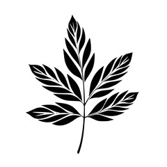  leaf vector, herb silhouette, silhouette plant, silhouette flower, silhouette floral, plantpot, leaf, tree, plant, nature, vector, bamboo, pattern, branch, silhouette, floral, flower, design,